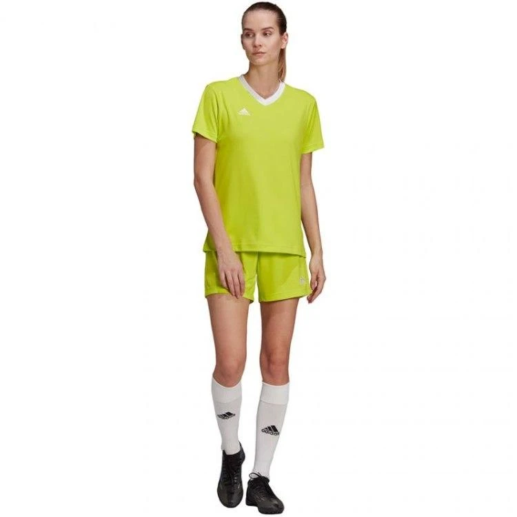 Adidas marškinėliai