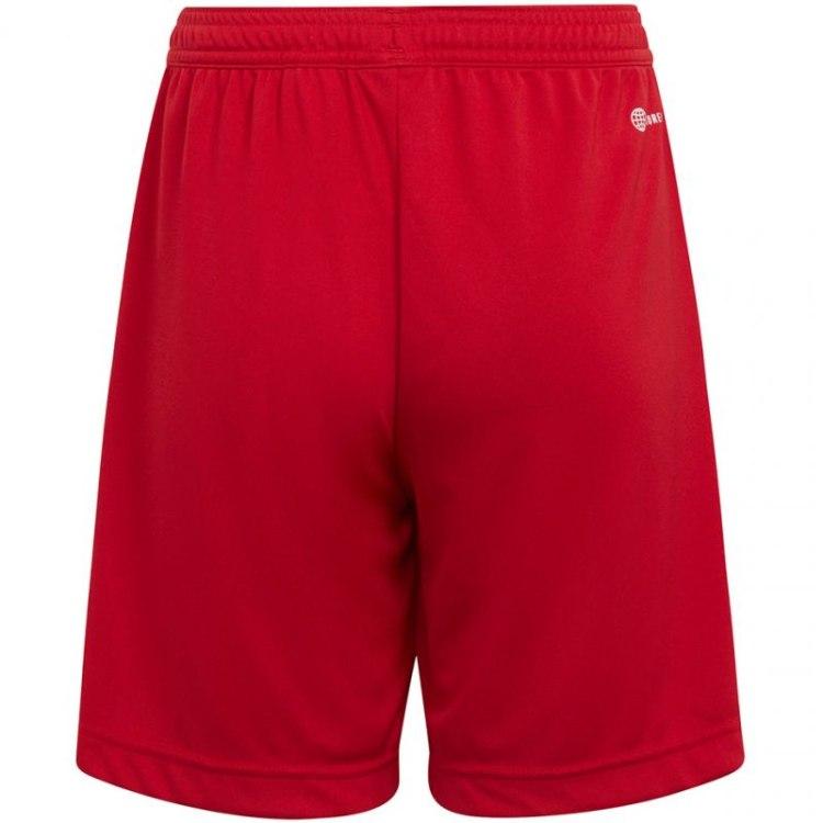 Adidas ortai