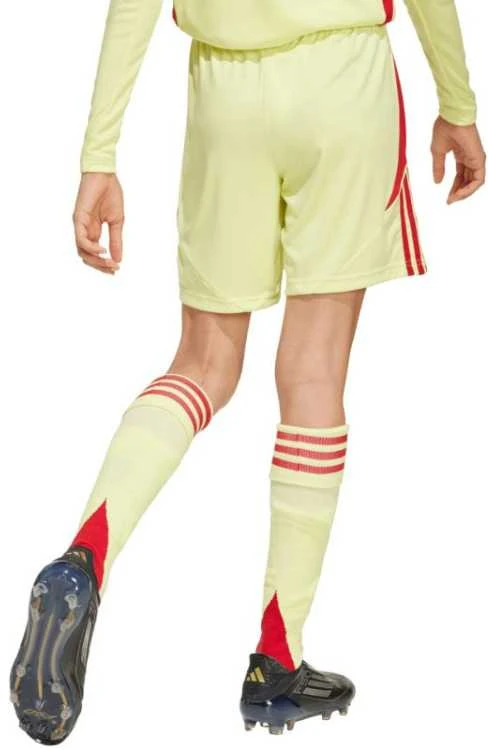 Adidas šortai