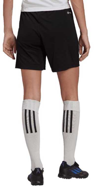 Adidas šortai