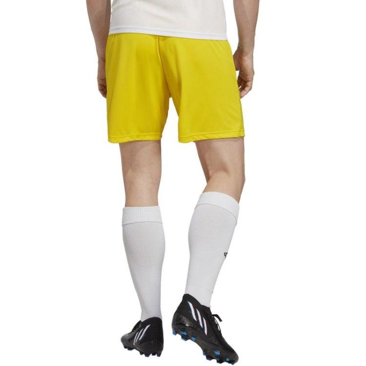 Adidas šortai