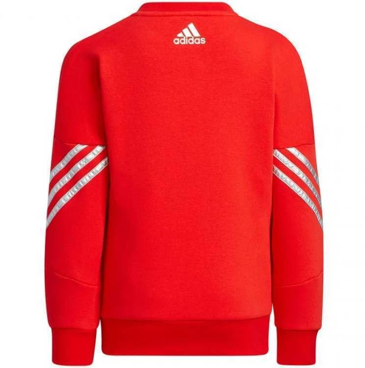 Adidas sportinis kostiumas