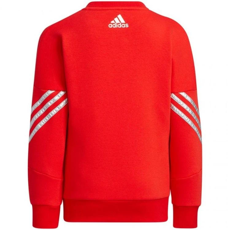 Adidas sportinis kostiumas