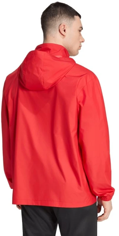 Adidas striukė