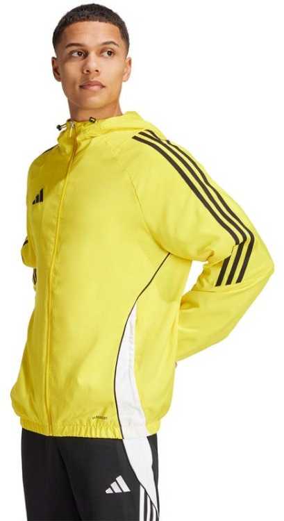 Adidas striukė