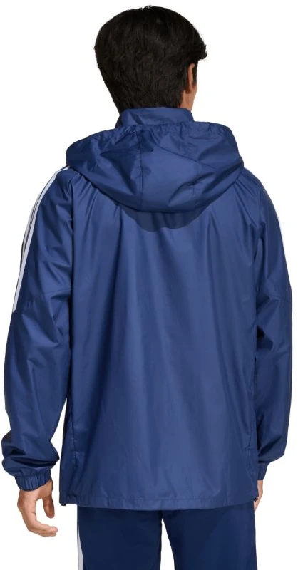 Adidas striukė
