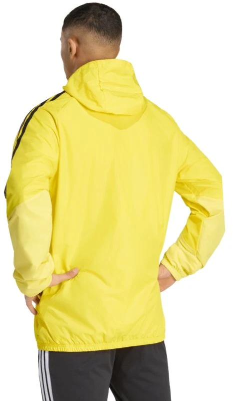 Adidas striukė
