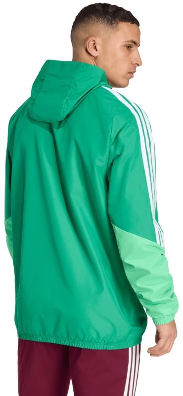 Adidas striukė