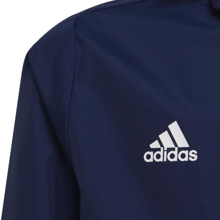 Adidas striukė