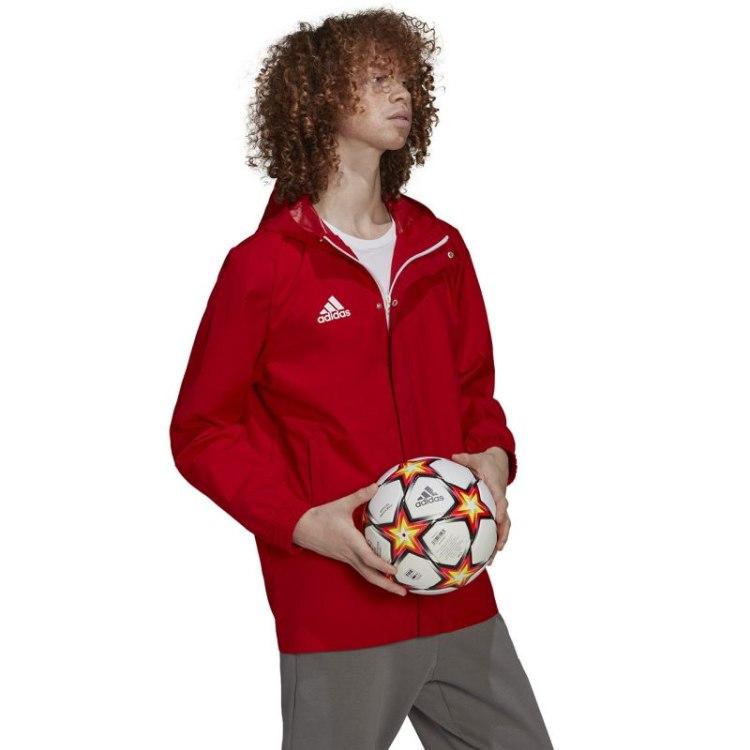 Adidas striukė