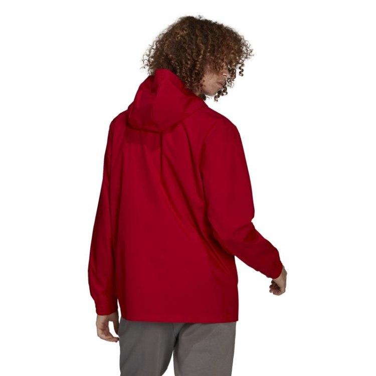 Adidas striukė