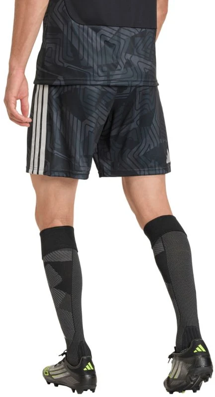 Adidas teamwear šortai