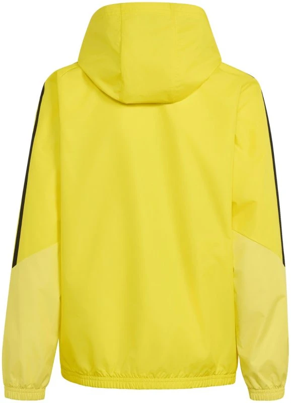 Adidas teamwear striukė