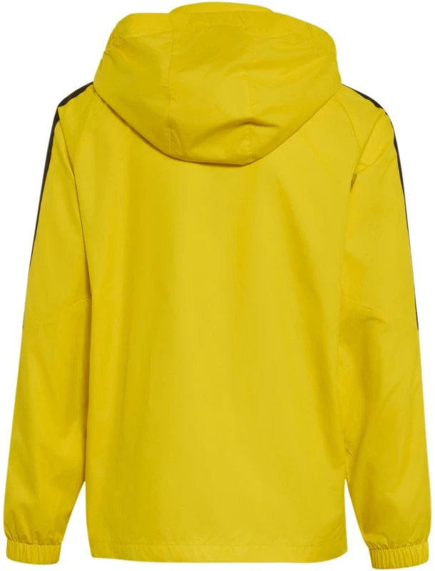 Adidas teamwear striukė