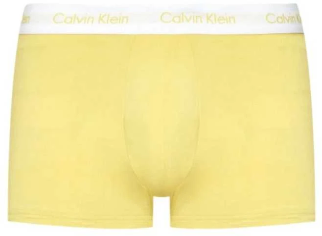 Calvin Klein trumpikės