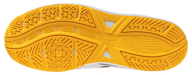 Mizuno bateliai