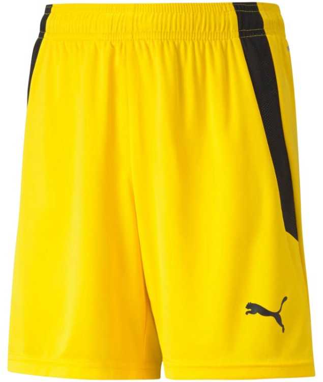 Puma šortai