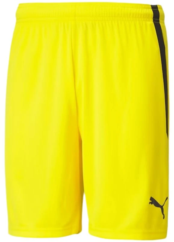 Puma šortai
