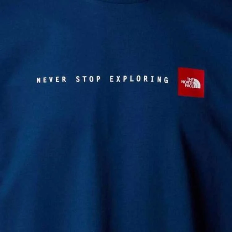 The north face marškinėliai