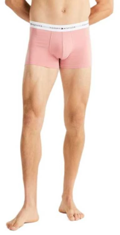 Tommy Hilfiger trumpikės
