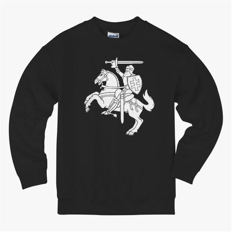 Vaik. Vytis džemperis