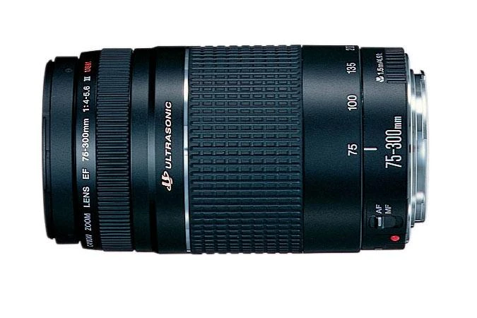 Canon EOS 2000D + EF-S 18-55mm f/3.5-5.6 IS II + EF 75-300mm f/4-5.6 III SLR fotoaparato komplektas 24,1 MP CMOS 6000 x 4000 pikseliai Juoda