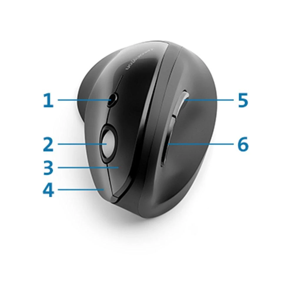 Leitz KENSINGTON K75501EU Kensington Pro Fit Ergo Vertical Belaidė pelė Juodas
