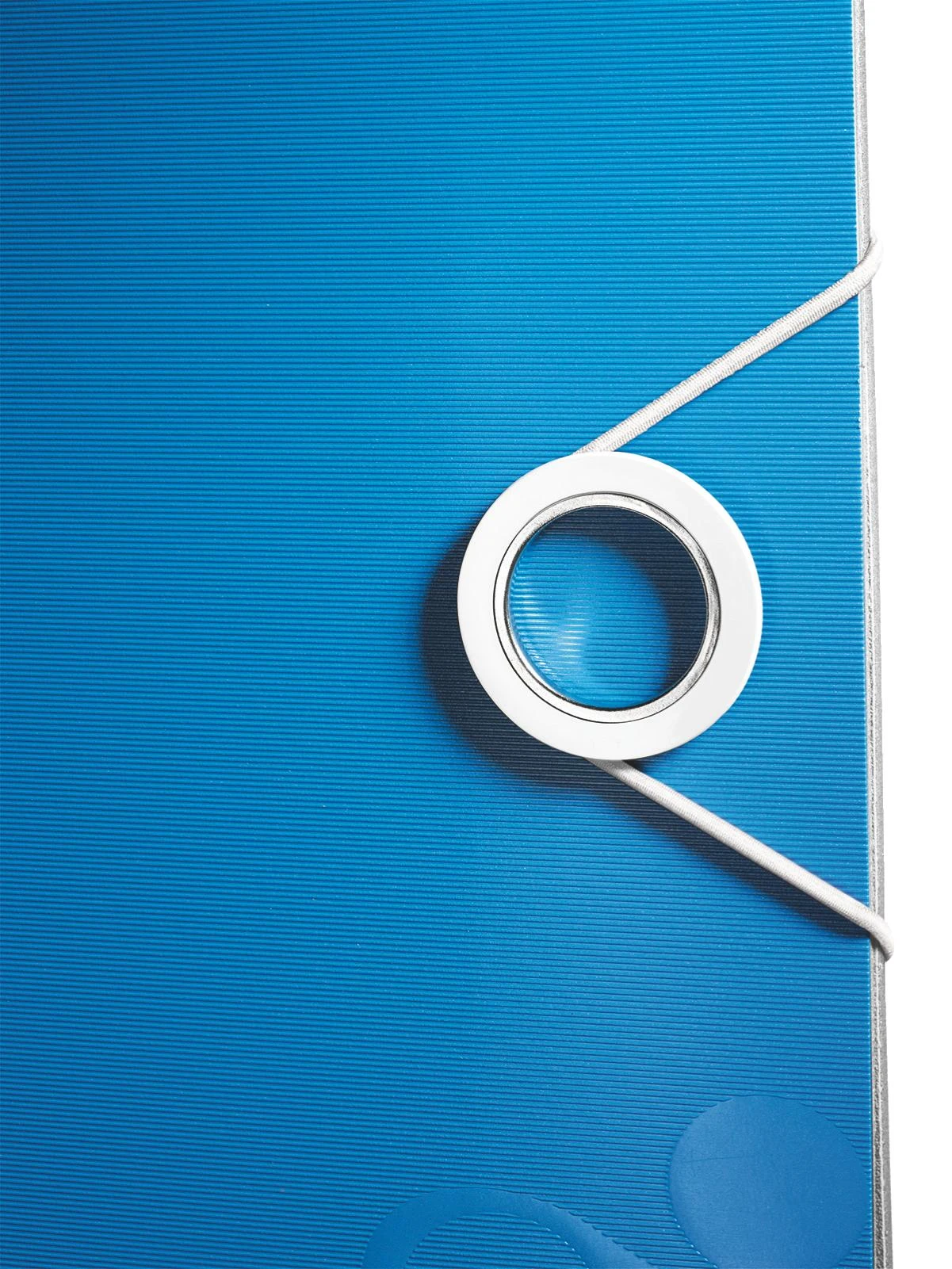 Segtuvas LEITZ 180° ACTIVE WOW, A4, 80 mm, 1 vnt.