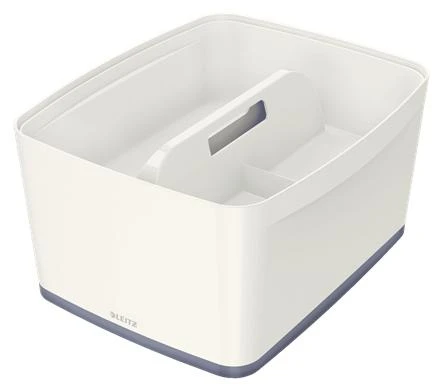 Dėžutė daiktams LEITZ MyBox su skyriais, didelė