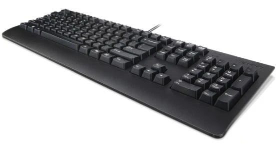 LENOVO PREFERRED II PRO Klaviatūra su USB jungtimi FIN/SWE