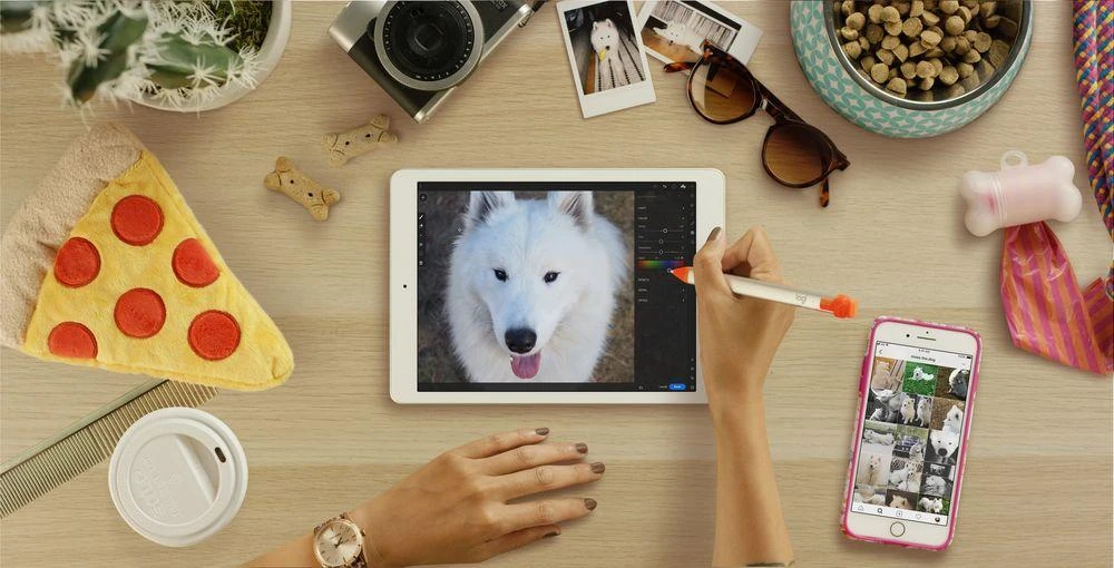 LOGITECH CAYON - INTENSE SORBET - EMEA - RETAIL