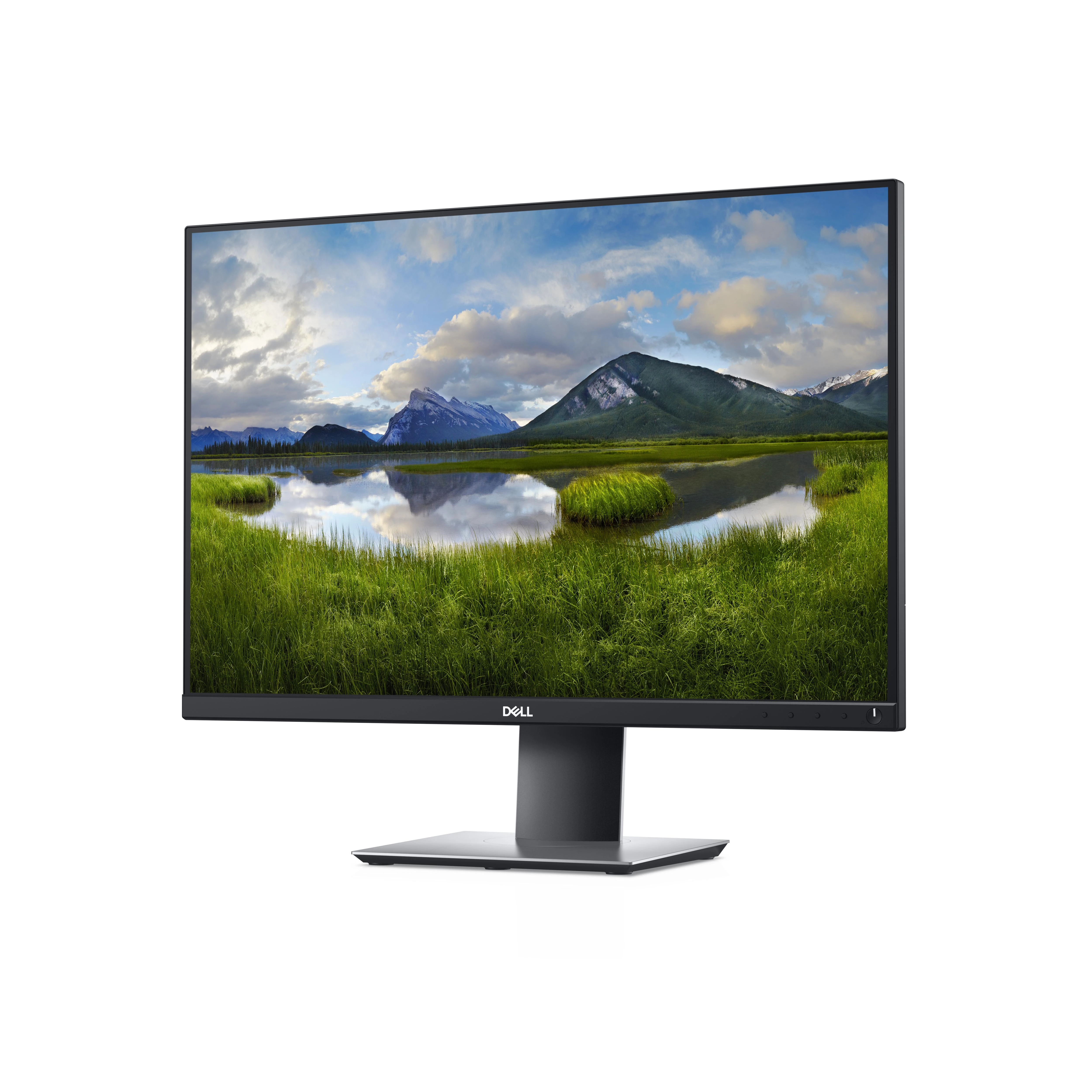 Monitorius Dell P2421 24 ", IPS, WUXGA, 1920 x 1200 pikselių, 16:10, 5 ms, 300 cd/m², Juodas, Garantija 60 mėn.