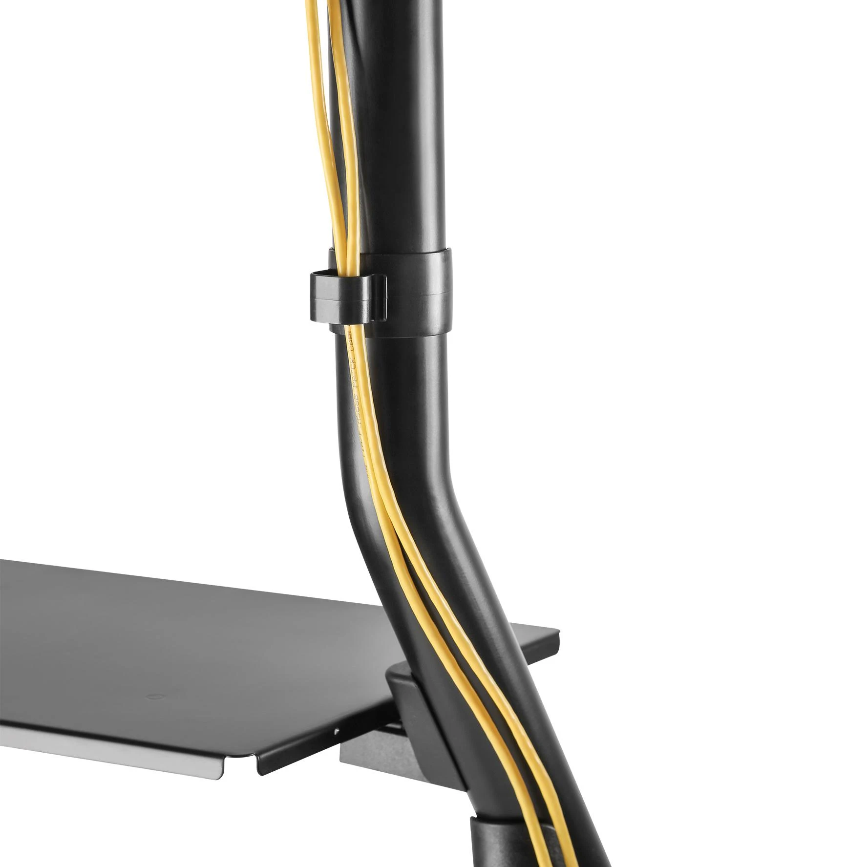 Laikiklis NeoMounts Mobile Monitorius/TV Floor Stand for 60-100" screen - Juodas