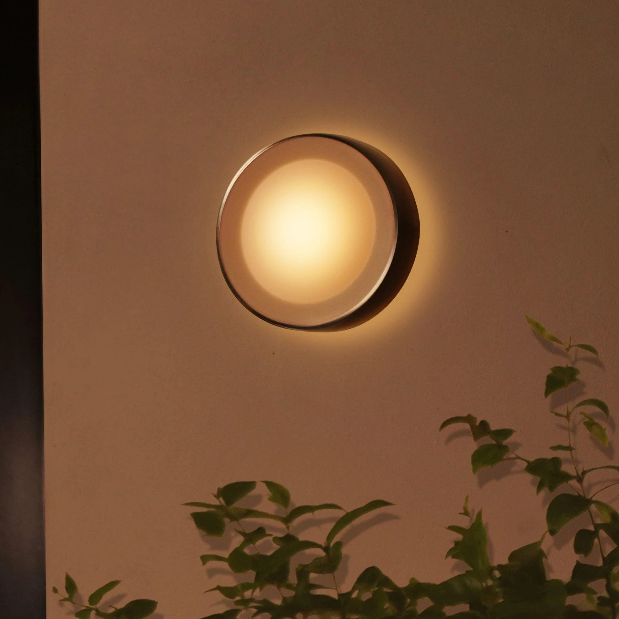 Philips Hue Sieninis lauko šviestuvas Daylo