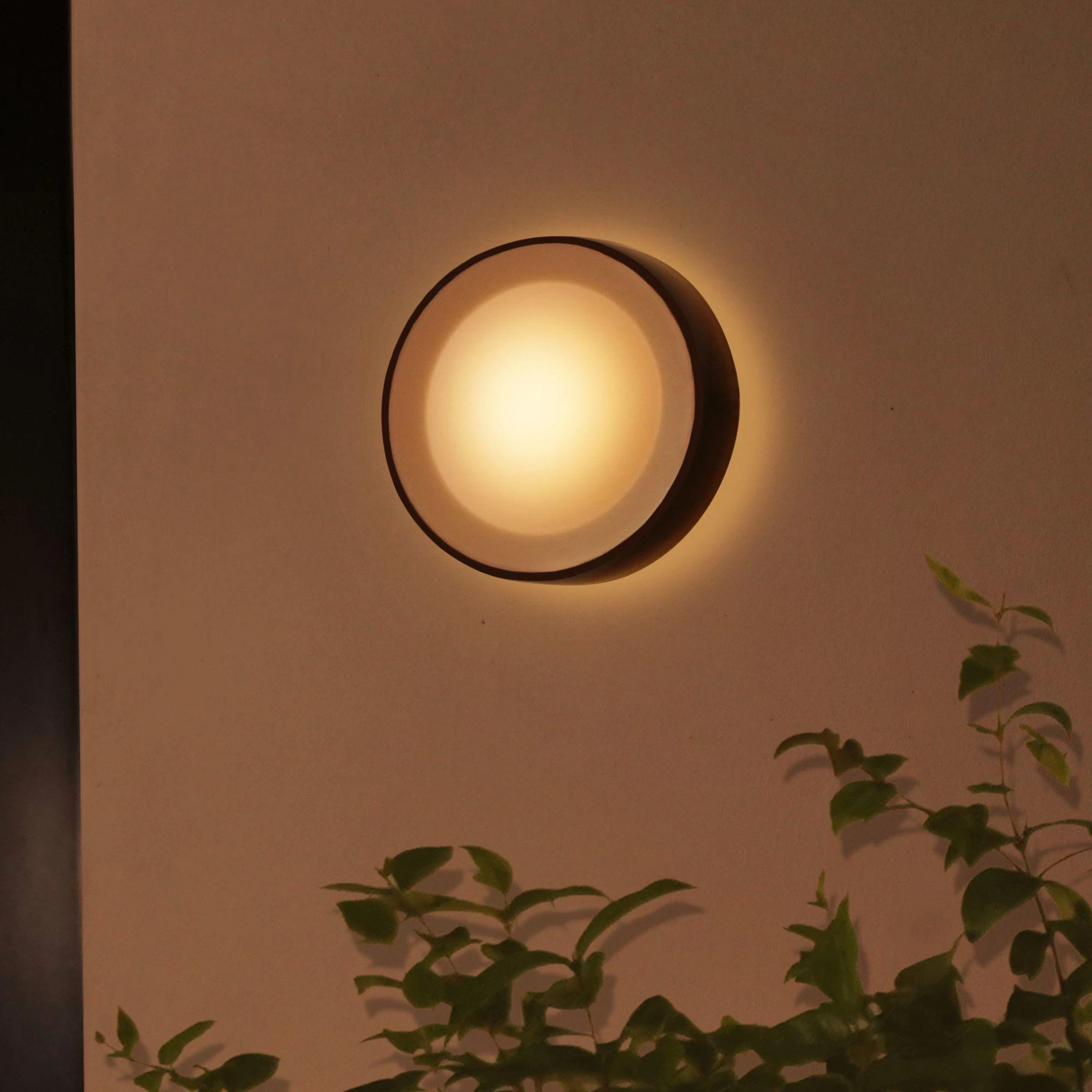 Philips Hue Sieninis lauko šviestuvas Daylo (Baltas ir spalvotas)