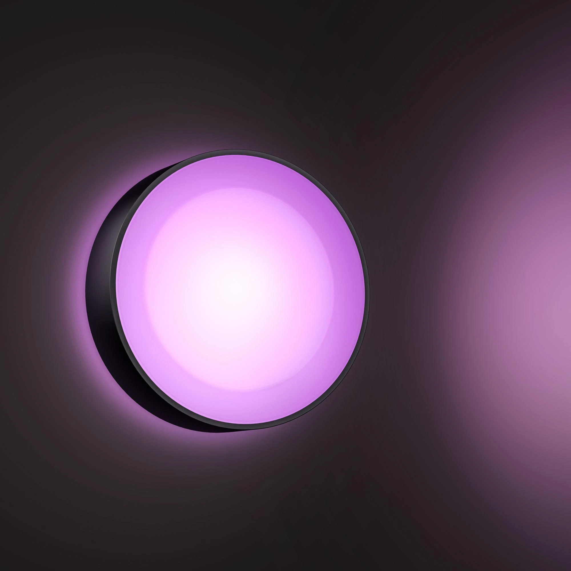 Philips Hue Sieninis lauko šviestuvas Daylo (Baltas ir spalvotas)
