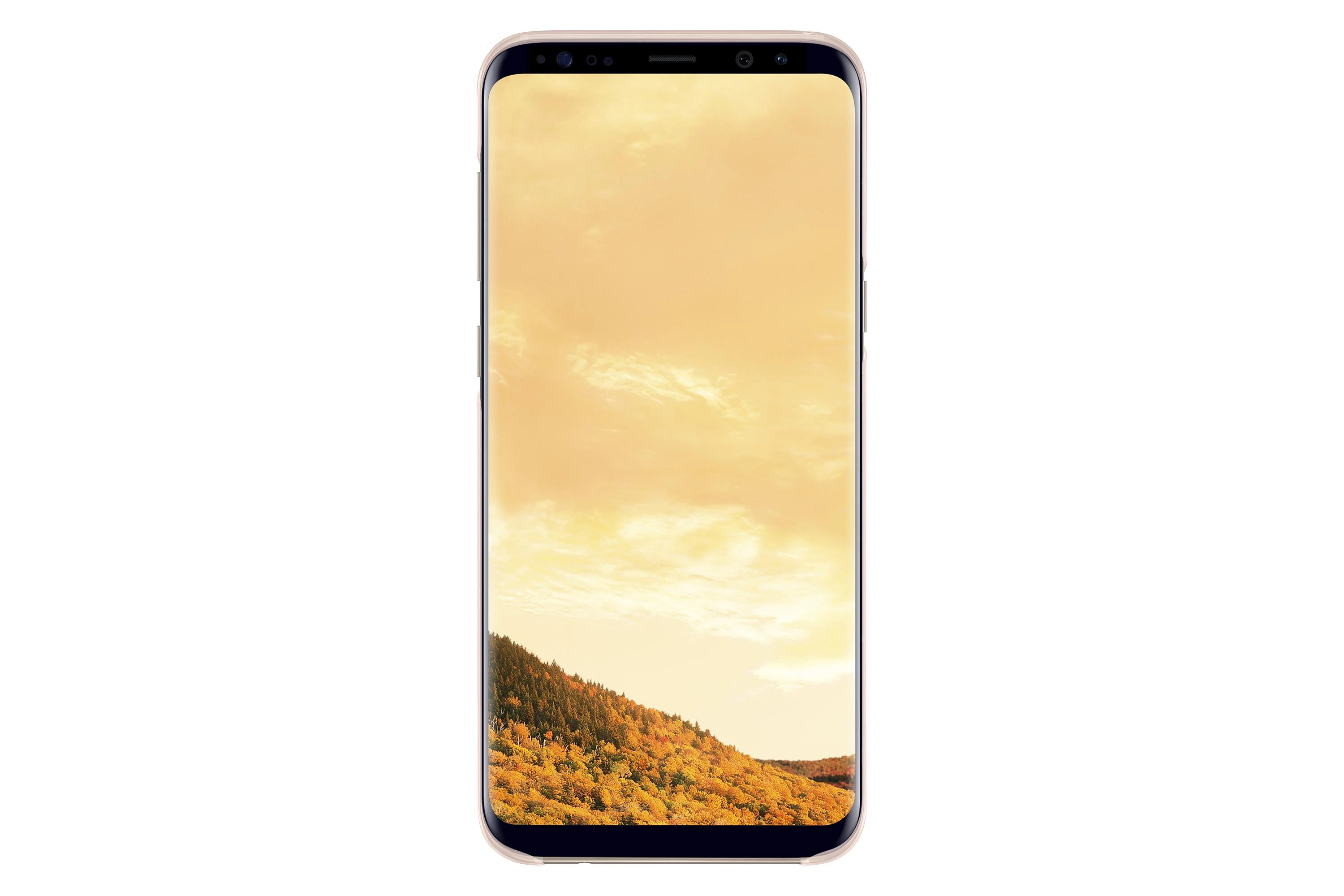 Samsung Galaxy S8+ permatomas dėklas (Rožinis) 