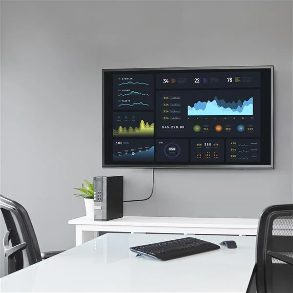DisplayPort į DVI adapteris su monitoriumi