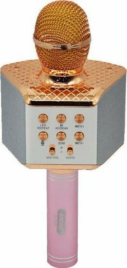 KARAOKE MIKROFONAS ANDOWL AN-Q-C107