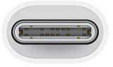 Apple USB-C to Lightning Adapter - MUQX3ZM/A