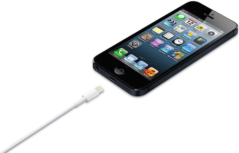 Apple iš Lightning į USB laidas (0.5 m) ME291ZM/A 