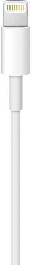 Apple iš Lightning į USB laidas (0.5 m) ME291ZM/A 