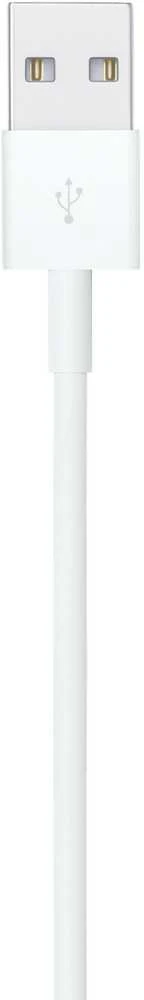 Apple Lightning ir USB kabelis (1 m)