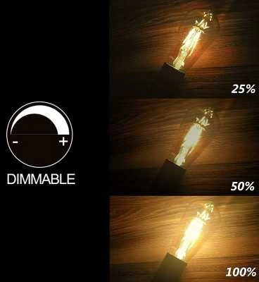 Italux Dekoratyvinė atmosferinė LEMPUTĖ FA-E27-8-WW Blaupunkt LED ST64 E27 edison 8W 806lm 230V 2300K šilta balta