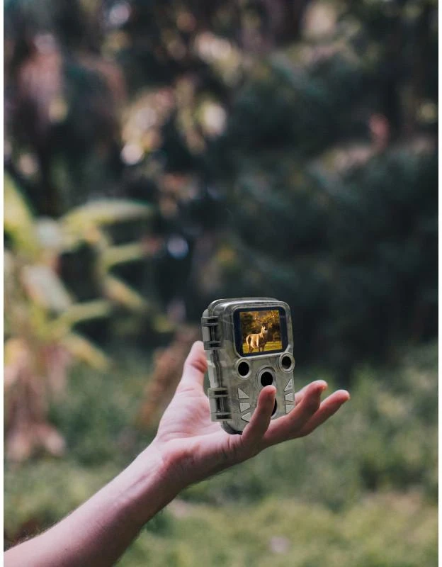 Braun Phototechnik Braun Scouting Cam Black800 mini
