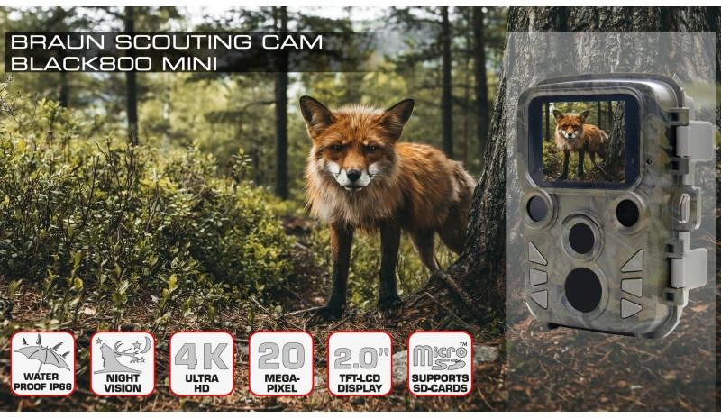 Braun Phototechnik Braun Scouting Cam Black800 mini