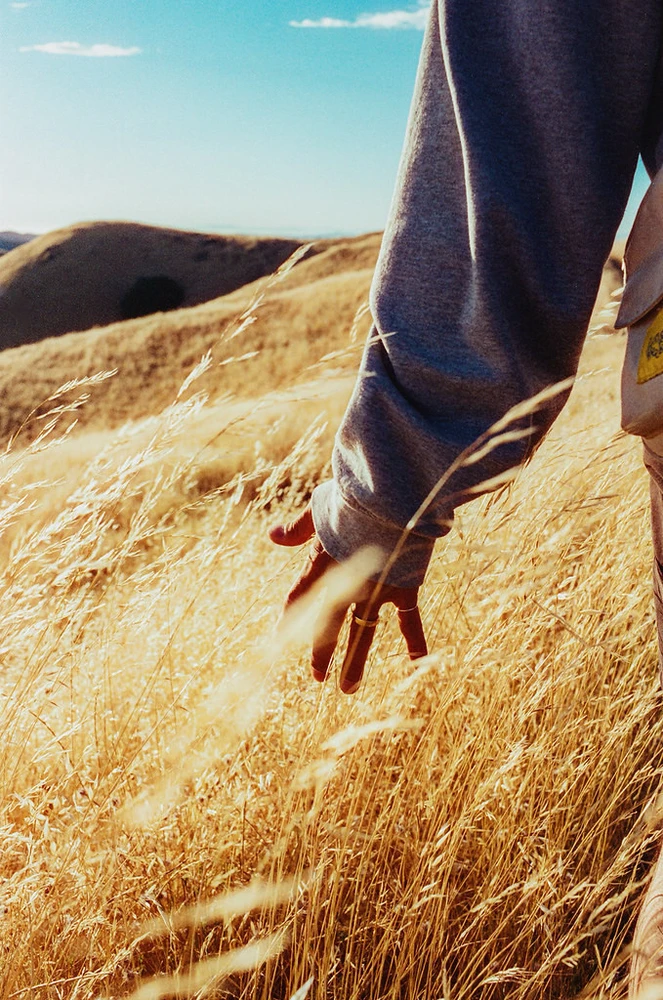 Candido filmas Colour 400/36
