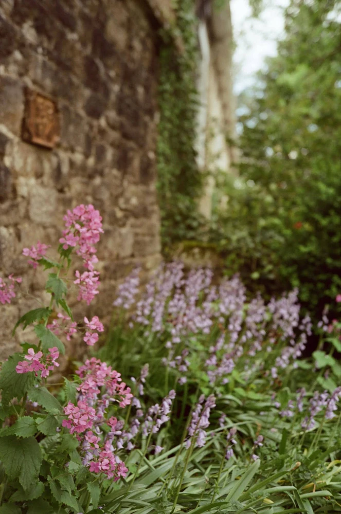 Candido filmas Colour 50/36
