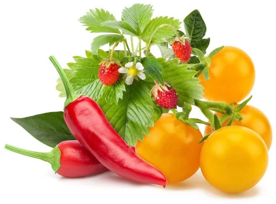 Click&Grow Vaisių ir daržovių mišinys 9 vnt.