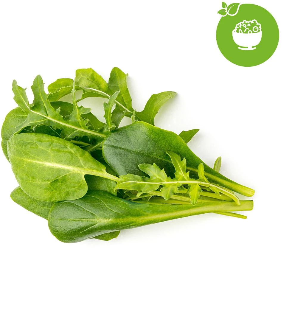 Click & Grow sėklos išmaniajam vazonui - Mišrios salotų sėklos (PPMSAX9) 9vnt.